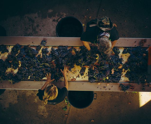 Rock Angel Rosé 2024, Château d'Esclans