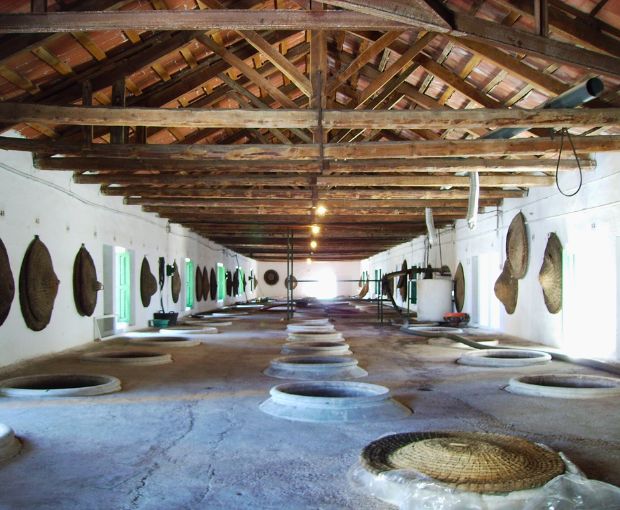 Tempranillo DO La Mancha, Haza del Palo