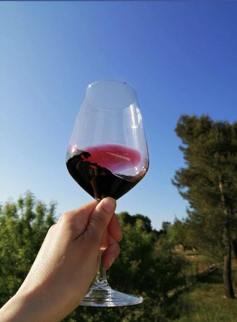 Primitivo Acanto Salento Puglia IGT, Cantine Ionis
