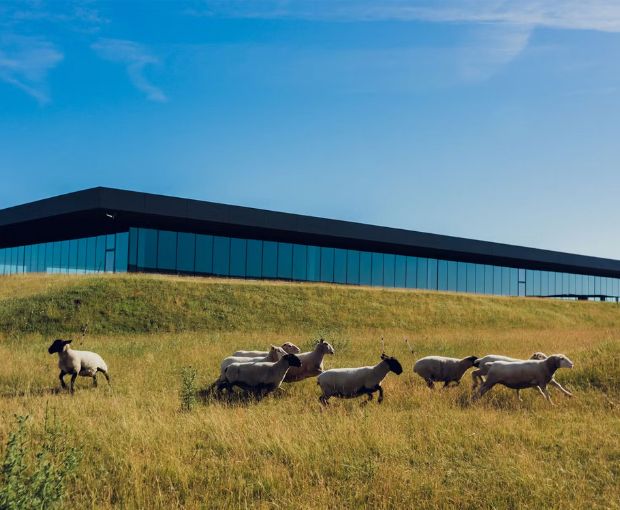 Champagne Moët & Chandon Imperial Brut