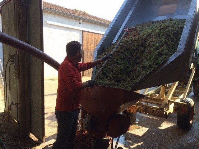 Volnay AOC 2019, Domaine Laboureau