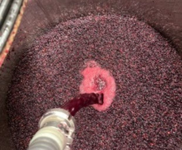 Marsannay AOC Vieilles Vignes Les Duchesses 2021, Jean-Philippe Marchand