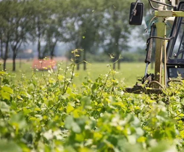 Bourgogne AOC Cuvée Perle Rare 2021, Domaine de la Galopière