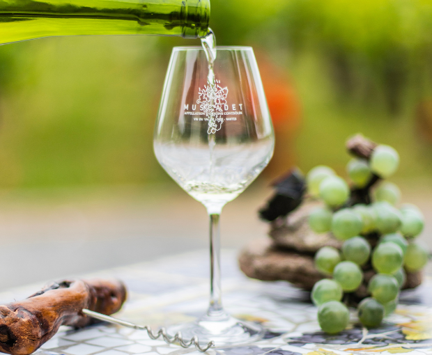 HALF Muscadet Sèvre & Maine AOC sur Lie Vieilles Vignes, Domaine R de la Grange