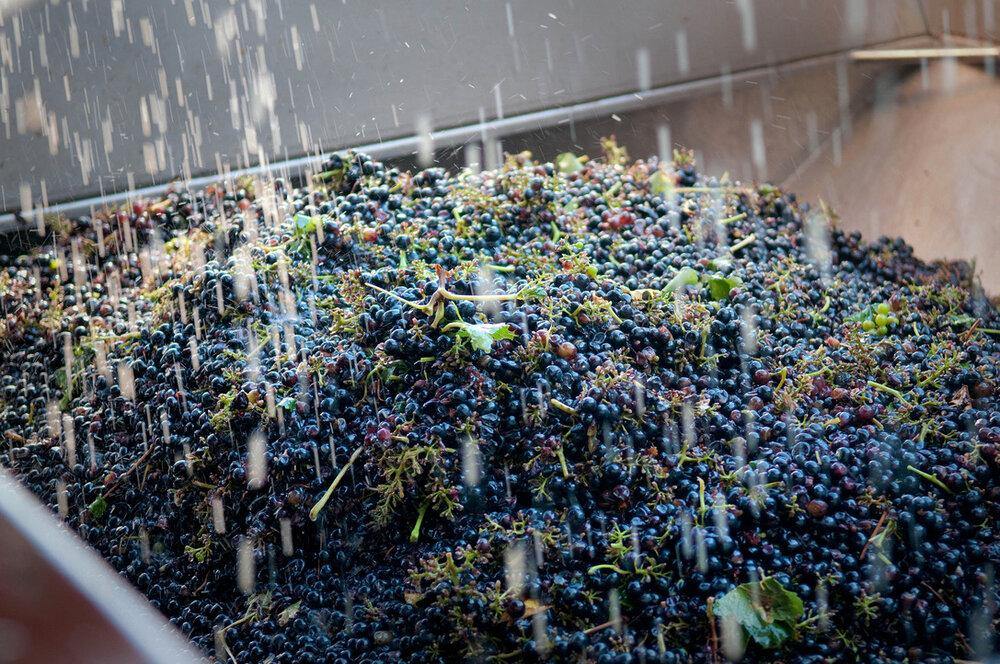 Costières de Nîmes AOP Les Hauts de Coste-Rives Rouge, Château Saint-Bénézet