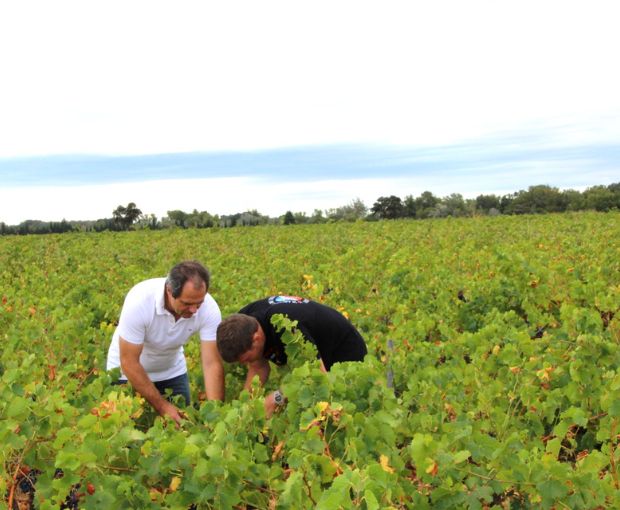 MAGNUM Châteauneuf-du-Pape AOC 2019, Domaine André Mathieu