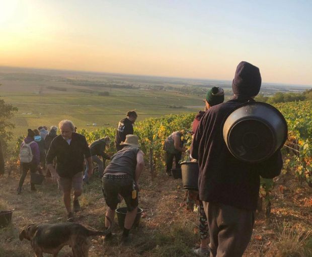 Nuits-Saint-Georges AOC Les Hauts Pruliers 2015, Bertrand et Axelle Machard de Gramont