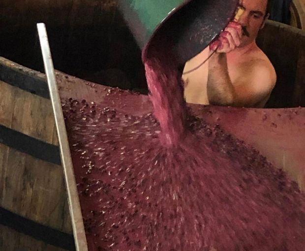 Nuits-Saint-Georges AOC Les Terrasses des Vallerots 2018, Bertrand et Axelle Machard de Gramont