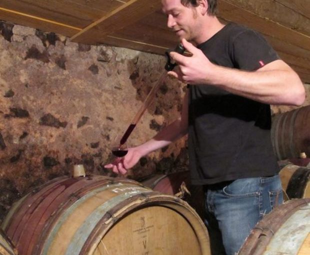 Beaujolais AOP Les Seves Cuvée IIIB , Renaud Bodillard
