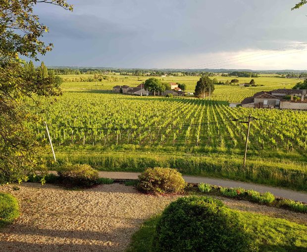 Castillon Côtes de Bordeaux AOC 2015, Château Bréhat