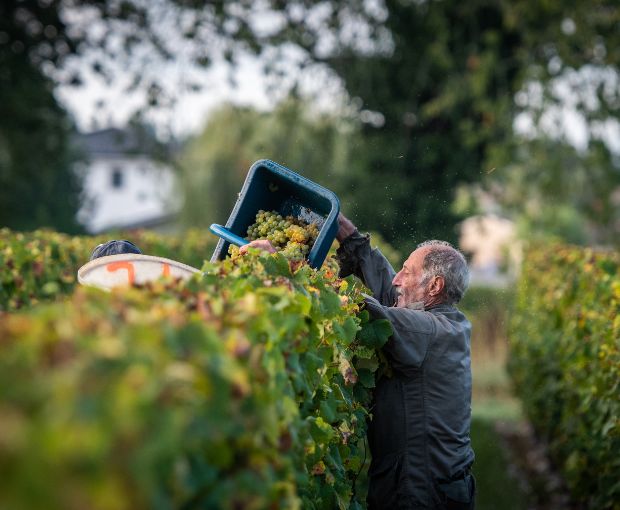 MAGNUM Haut Médoc AOC 2016 & 2019, Château du Retout