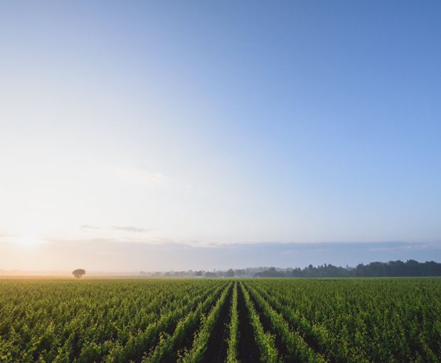 MAGNUM Haut Médoc AOC 2016 & 2019, Château du Retout