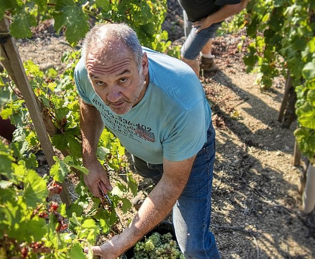 Côte-Rôtie AOP Promesse 2020, Domaine Christophe Pichon