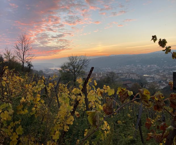 Saint-Joseph AOP 2018 Rouge, Domaine Christophe Pichon