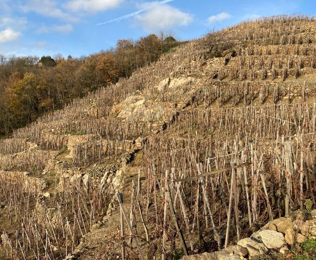 Saint-Joseph AOP 2018 Rouge, Domaine Christophe Pichon