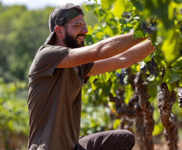 Coteaux Varois en Provence AOP, Domaine de la Clémencière