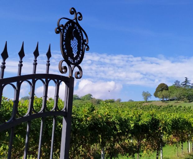 Chardonnay dell’Emilia IGP, Torre Gaggio