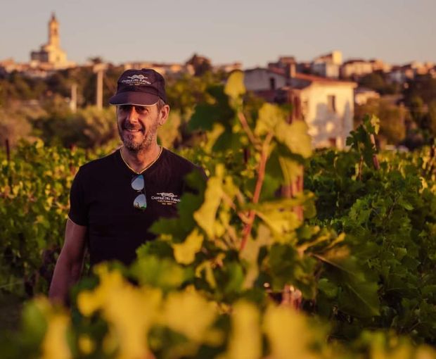 Montepulciano d'Abruzzo DOP La Pietraja, Tenute del Pojo