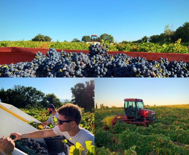 MAGNUM Châteauneuf-du-Pape AOC 2019, Domaine André Mathieu