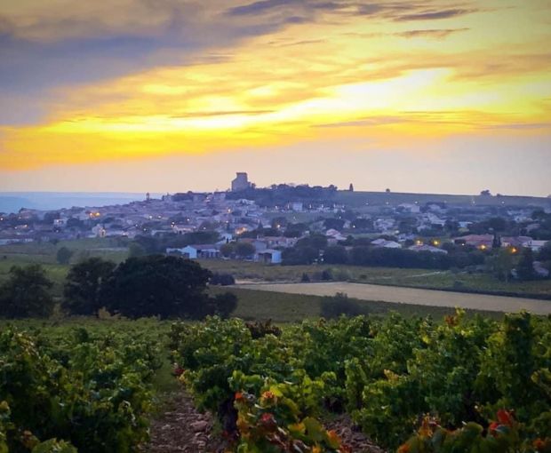 MAGNUM Châteauneuf-du-Pape AOC 2019, Domaine André Mathieu