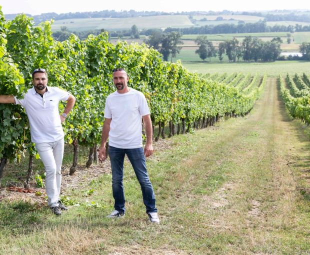 Colombard-Sauvignon Côtes de Gascogne IGP, Domaine Estrade