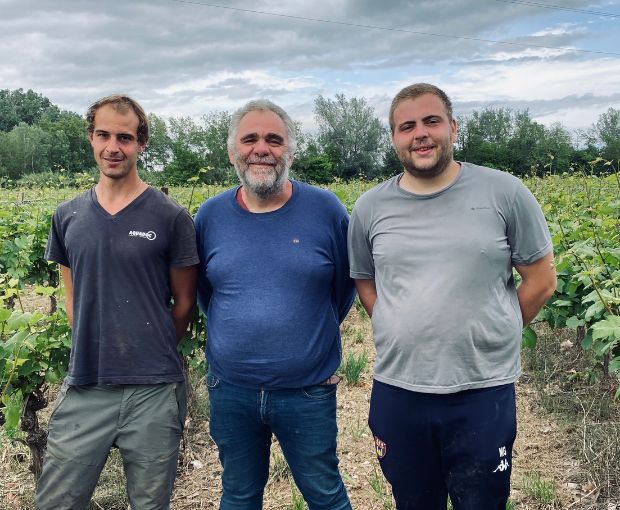 Picpoul de Pinet AOP Tradition, Domaine Muret