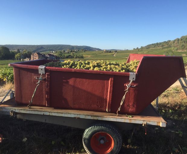 Mercurey AOC Les Loueres 2022, Domaine Laurent Dufouleur