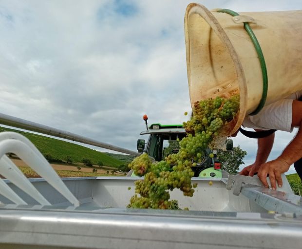 Sancerre AOP Cuvée Reserve Pascal Thomas 2022, Domaine de Sacy