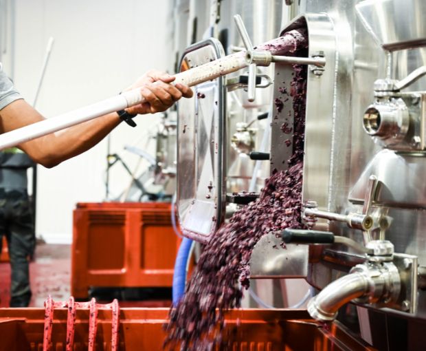 Crozes-Hermitage AOC 2019 Rouge, Domaine des Combat