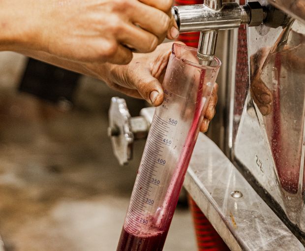 Côtes du Rhône AOP Lou Pitchoun, Domaine des Gravennes