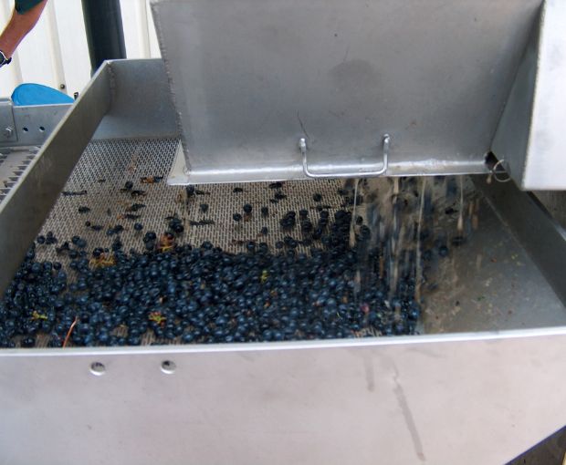 HALF Saint Nicolas de Bourgueil AOC, Domaine du Fondis