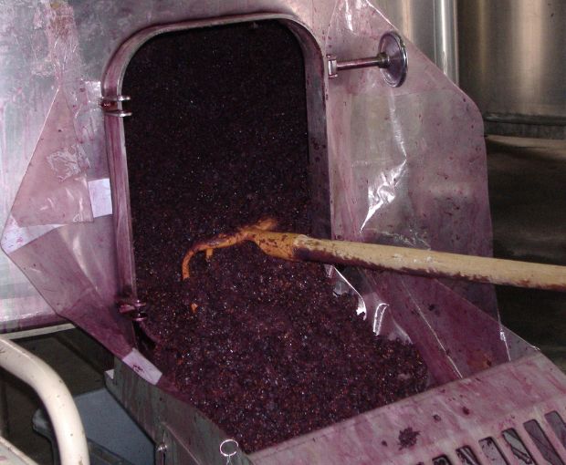 Saint Nicolas de Bourgueil AOC, Domaine du Fondis