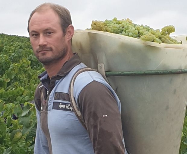 Chablis AOC, Jean-Pierre & Alexandre Ellevin