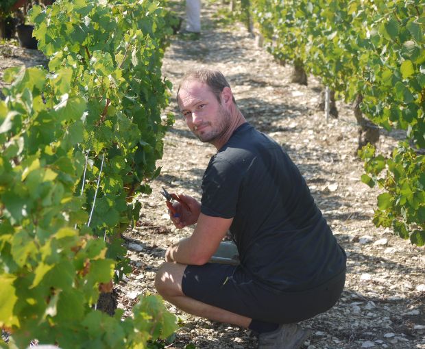 Chablis 1er Cru AOC Vosgros 2022, Jean-Pierre & Alexandre Ellevin