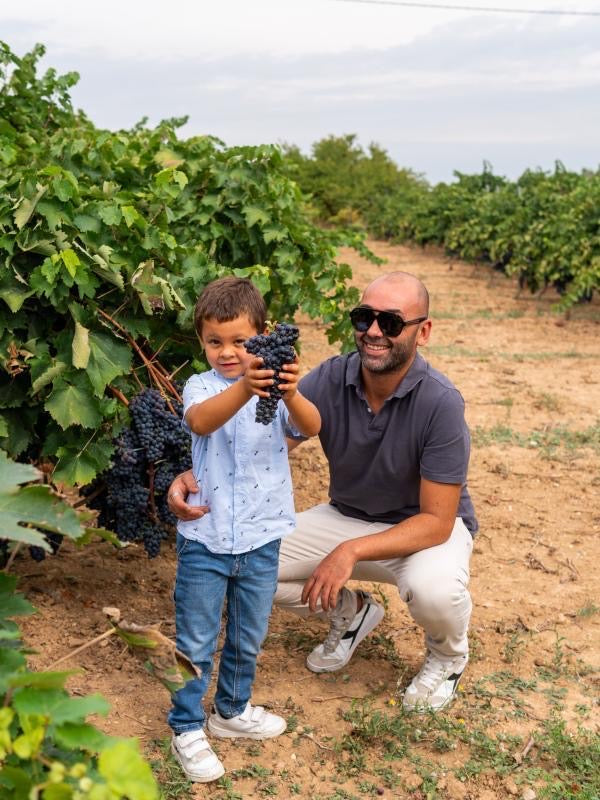 Primitivo Acanto Salento Puglia IGT, Cantine Ionis
