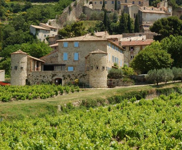 Vacqueyras AOP 2023, Francois Xavier Lambert