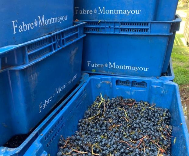 Cabernet Franc Reservado, Fabre Montmayou