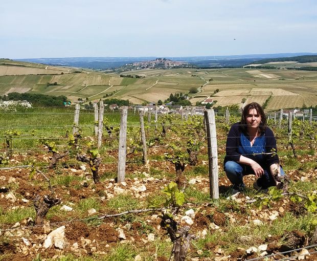 Sancerre AOP Cuvée Reserve Pascal Thomas 2022, Domaine de Sacy