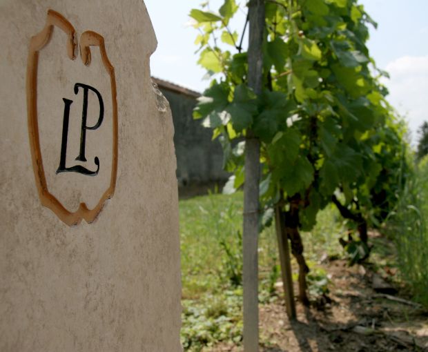 Champagne Laurent Perrier Grand Siècle n°24