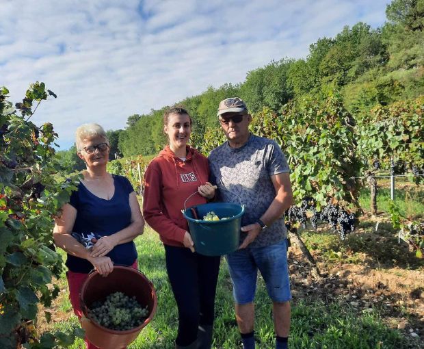 Malbec Cahors AOC, Clos du Colombier