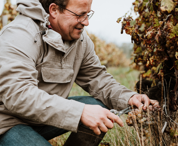 Graves AOC 2021, Château Puy Boyrein