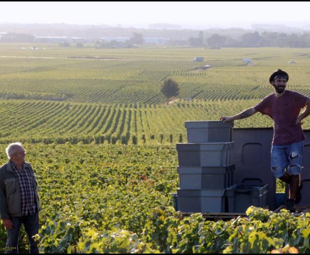 MAGNUM Gevrey-Chambertin 1er Cru Petite Chapelle 2018, Domaine Marchand-Grillot
