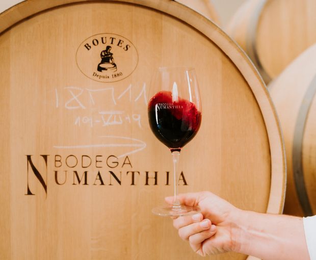 Numanthia 2019, Bodega Numanthia