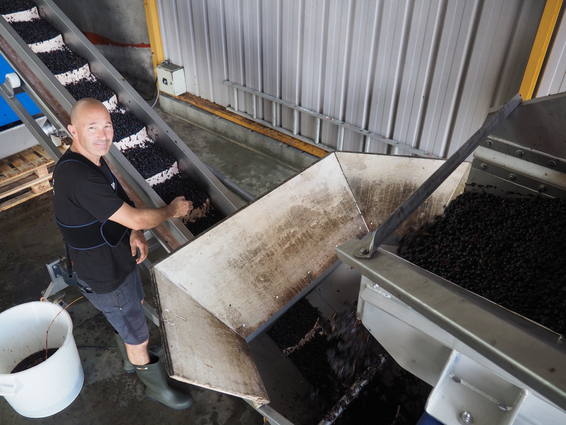 Crémant de Loire AOC Brut Marquis de Gilbourg, Château du Fresne