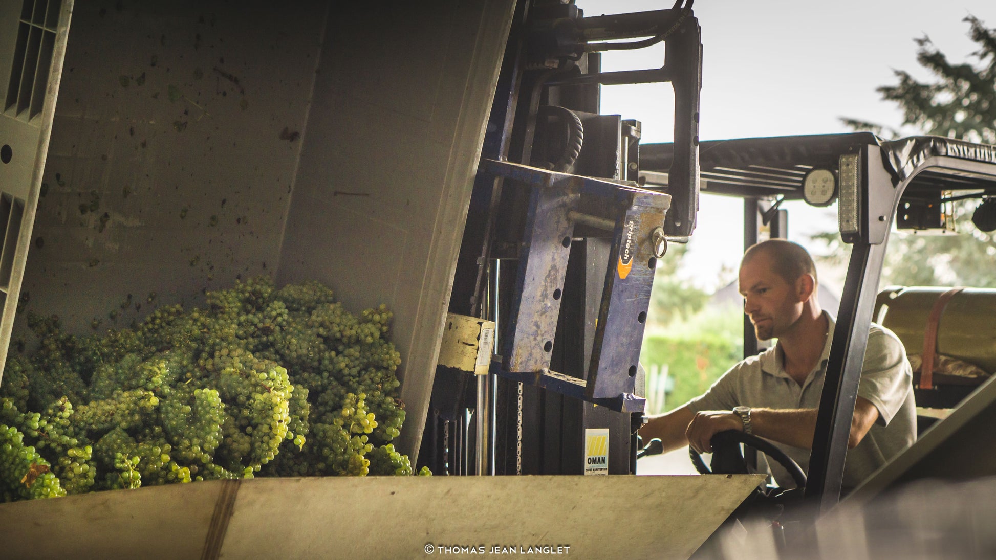 Sauvignon Blanc IGP Val de Loire L’explosif du Fresne, Château du Fresne