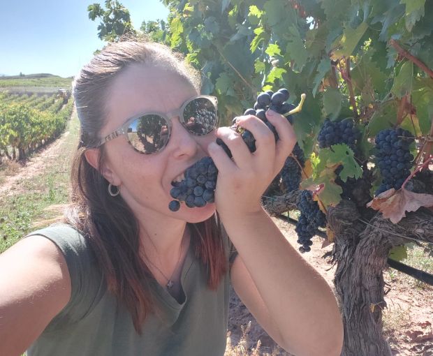 Rioja Alta Reserva D.O.Ca 2016, Lagar de Cayo