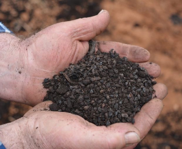 Rioja Alta Joven D.O.Ca, Lagar de Cayo