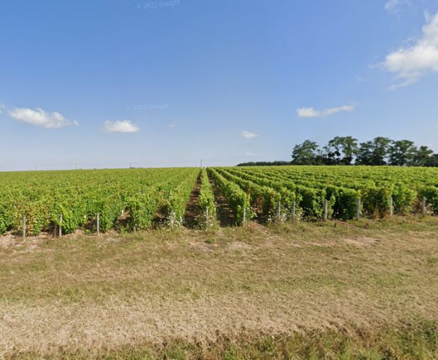 Coteaux-du-Giennois AOC Blanc , Domaine Raimbault Pineau