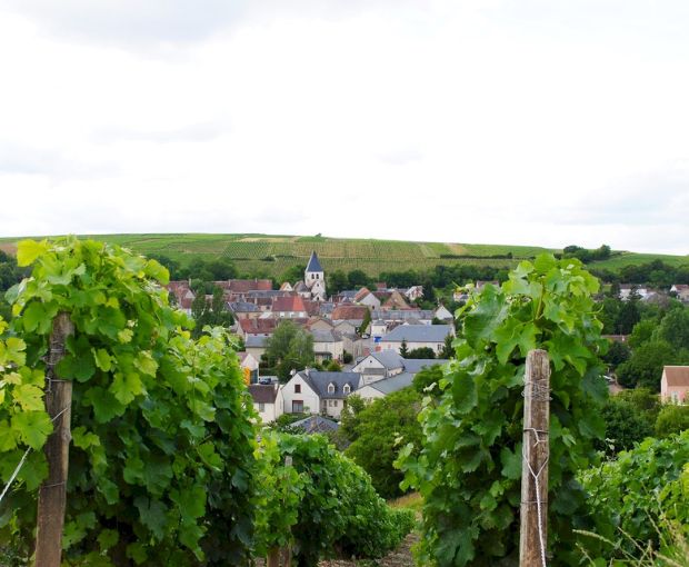 Sancerre Rosé AOC, Domaine Raimbault Pineau