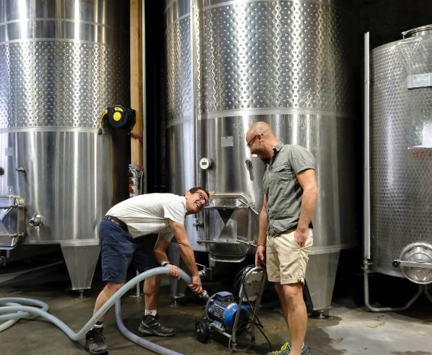 Viognier Sauvignon Equilibre IGP Côtes de Thongue, Domaine de l’Arjolle